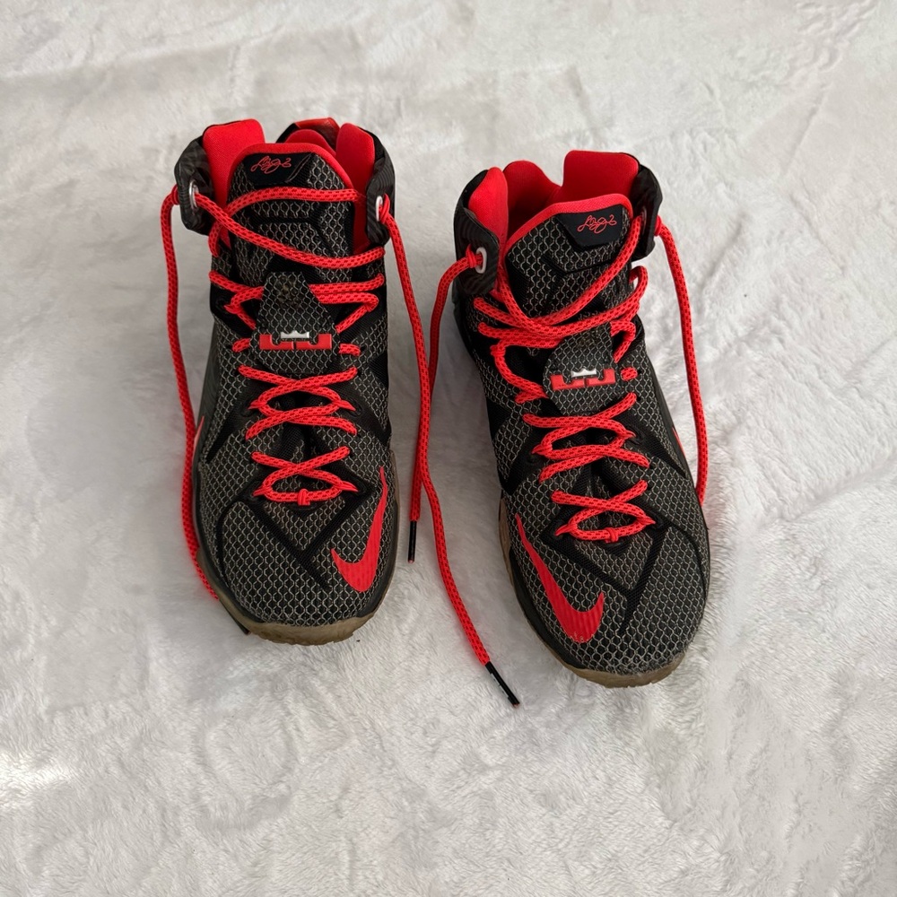 Nike LeBron 12 Court Vision Sneakers
